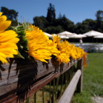 Wedding Sunflowers