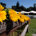 Wedding Sunflowers